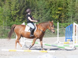 IMG_0602_web